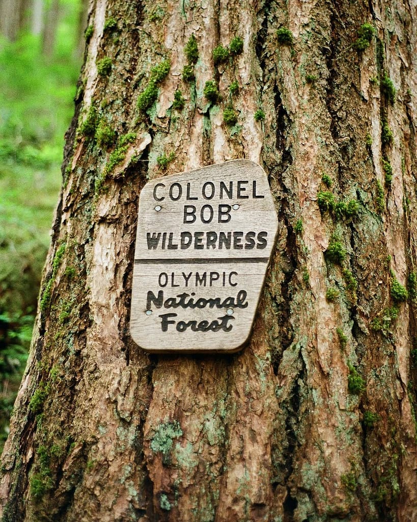 Olympic National Forest